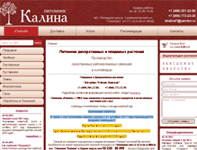 Tablet Screenshot of akalina.ru